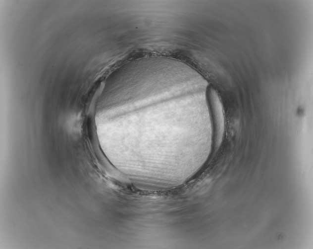 X0000091571010200709100952