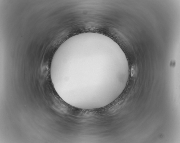 X0000091571011200709100952