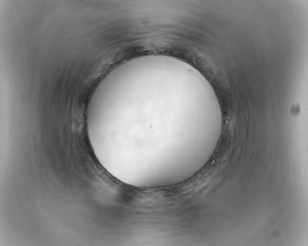 X0000091571012200709100952