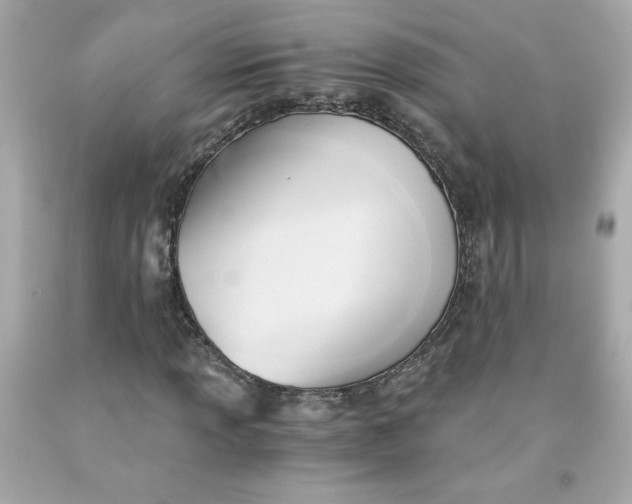 X0000091571013200709100952