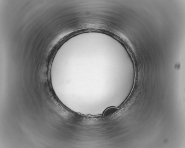 X0000091571019200709100952