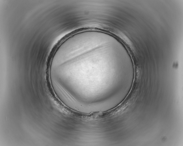 X0000091571020200709100952