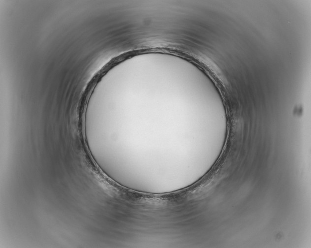 X0000091571023200709100952