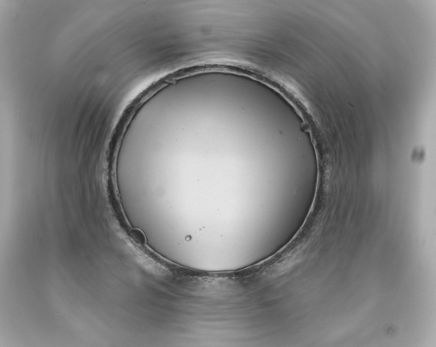 X0000091571024200709100952