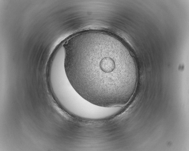 X0000091571026200709100952