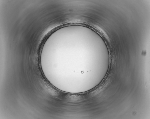 X0000091571027200709100952