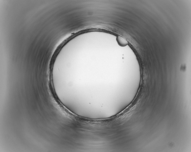 X0000091571028200709100952