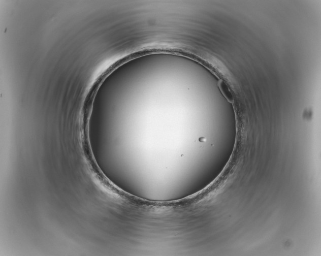 X0000091571030200709100952