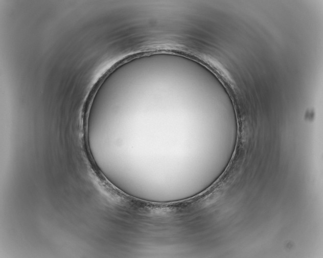 X0000091571031200709100952