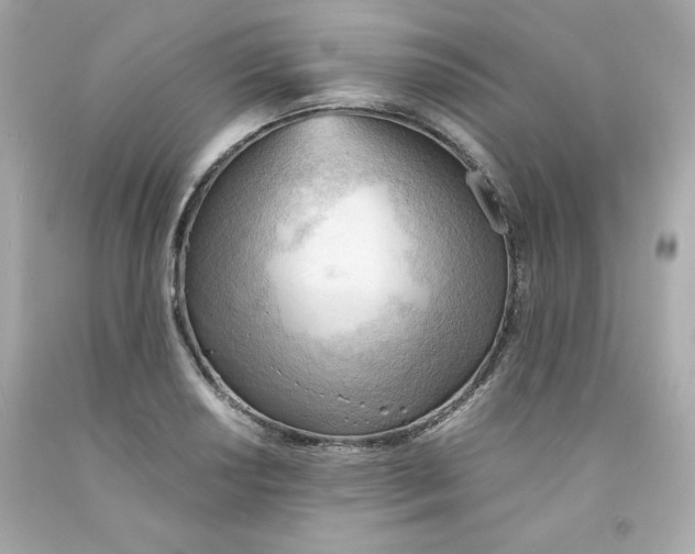 X0000091571034200709100952