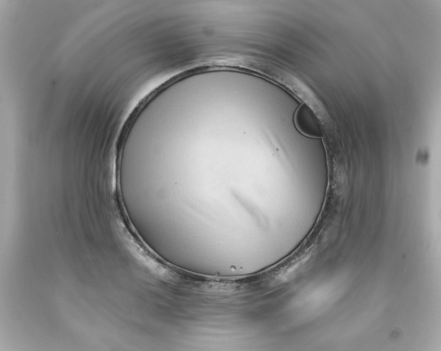 X0000091571036200709100952