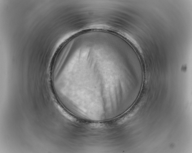 X0000091571037200709100952