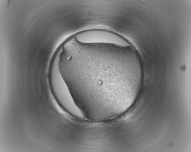 X0000091571038200709100952