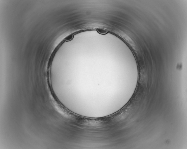 X0000091571039200709100952