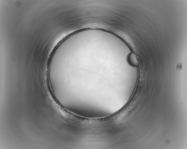 X0000091571040200709100952