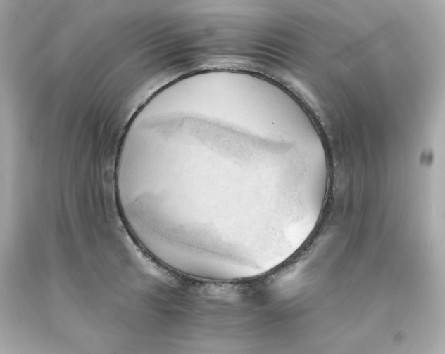 X0000091571041200709100952