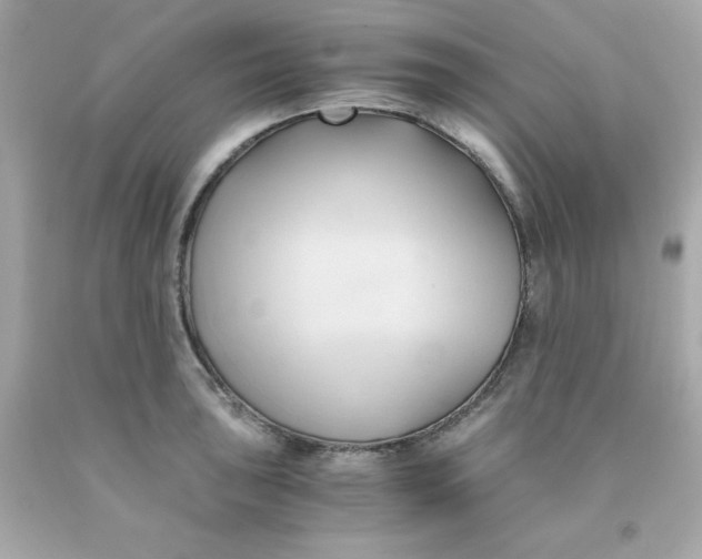 X0000091571043200709100952