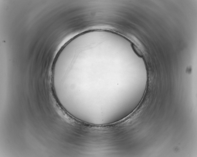 X0000091571044200709100952