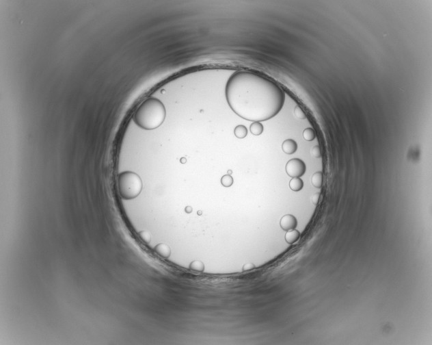 X0000091571045200709100952