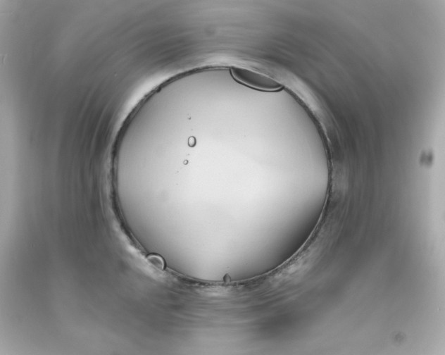 X0000091571048200709100952