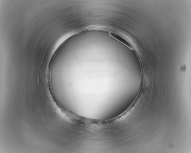 X0000091571050200709100952