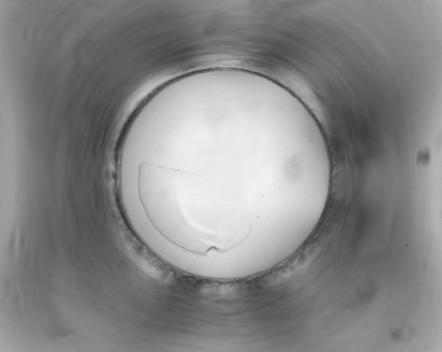 X0000091571051200709100952