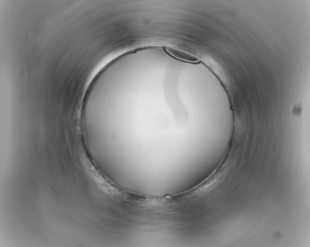 X0000091571052200709100952