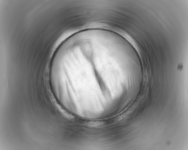 X0000091571053200709100952