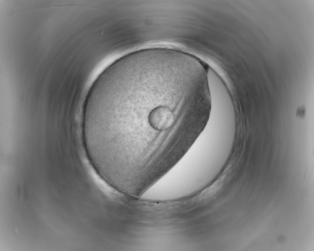 X0000091571054200709100952