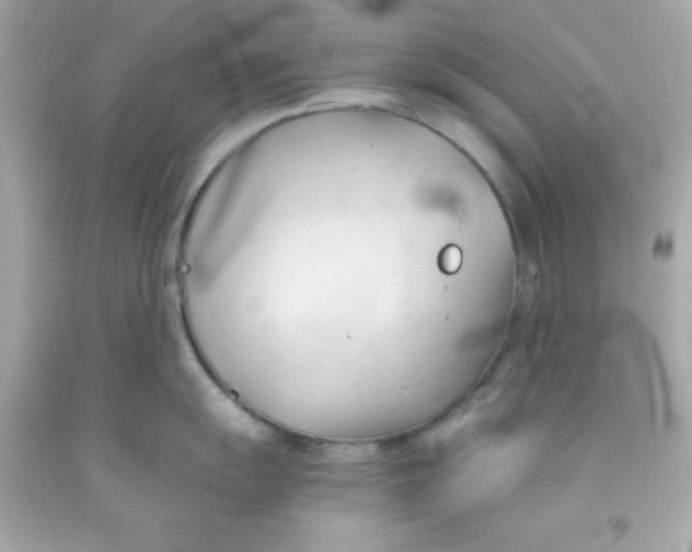 X0000091571055200709100952