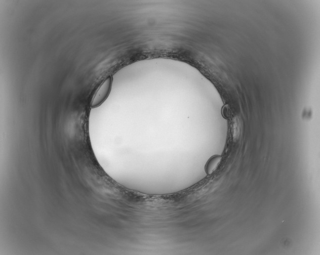 X0000091571059200709100952