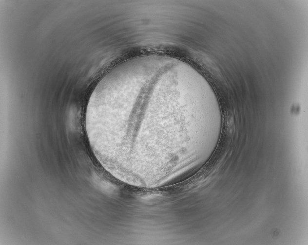 X0000091571060200709100952