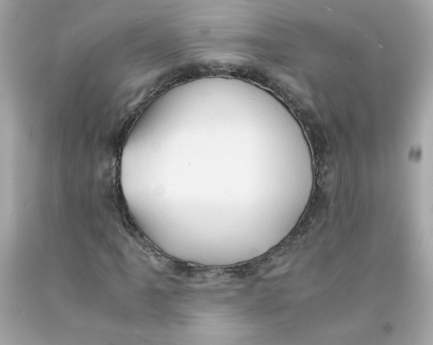 X0000091571061200709100952