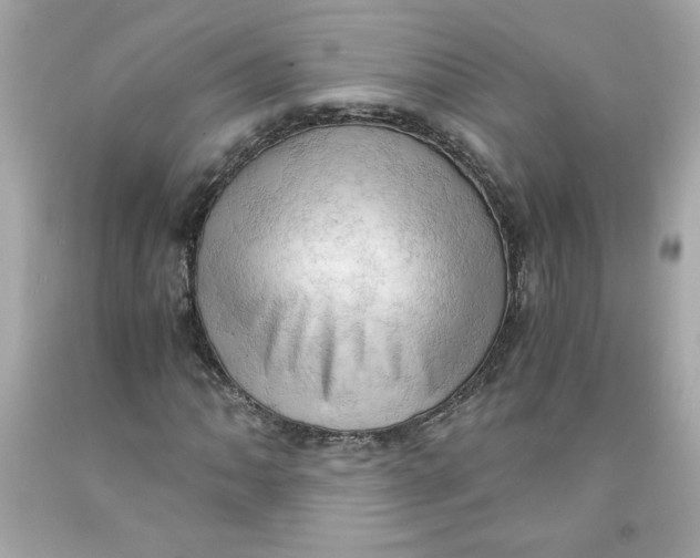 X0000091571062200709100952