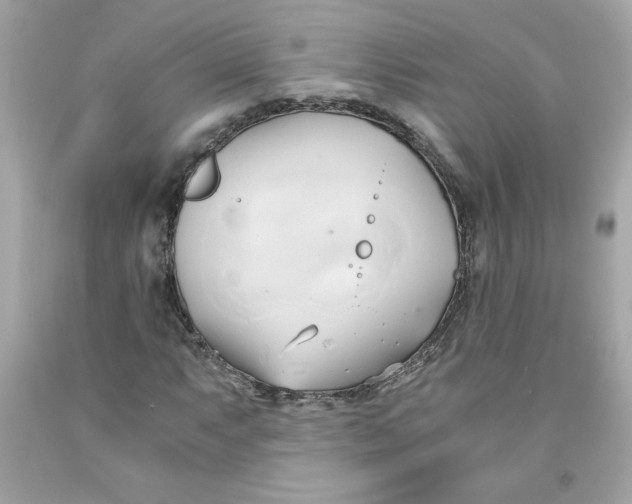 X0000091571063200709100952