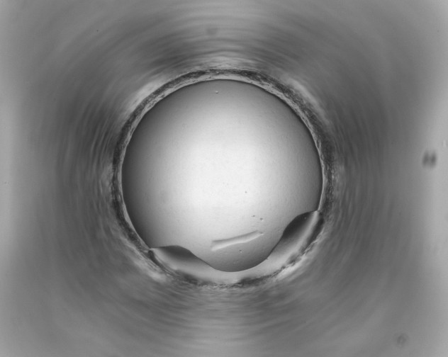 X0000091571065200709100952