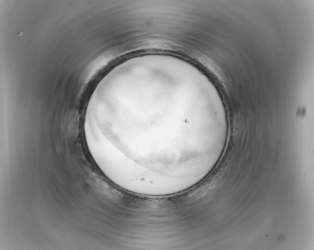 X0000091571067200709100952