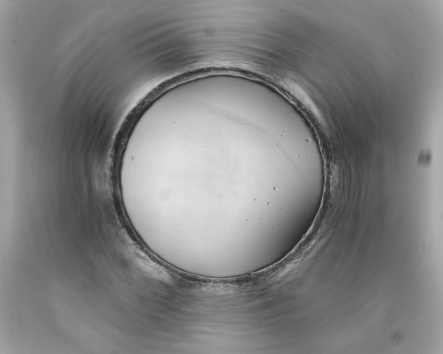 X0000091571068200709100952