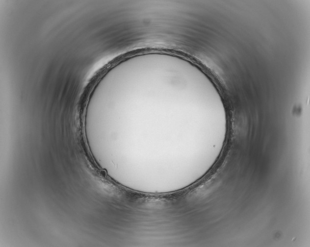 X0000091571070200709100951