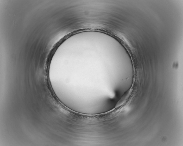 X0000091571071200709100951