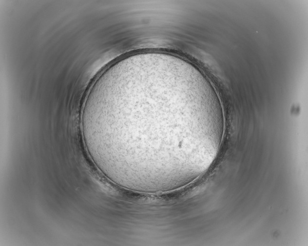 X0000091571073200709100951