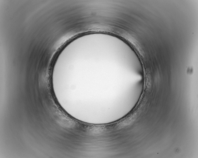 X0000091571074200709100951