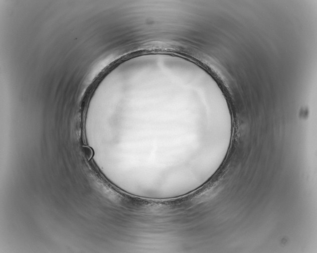 X0000091571075200709100951