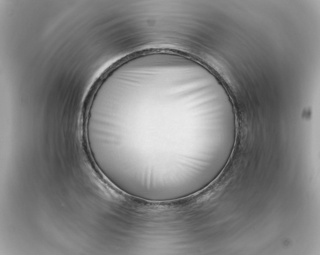 X0000091571076200709100951