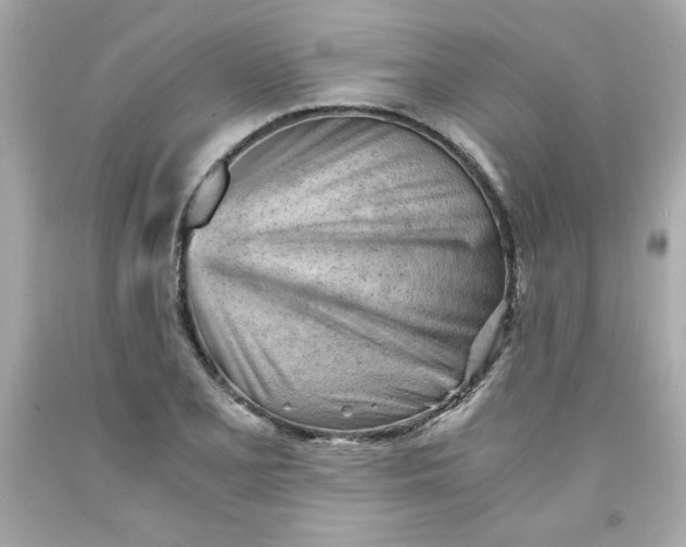 X0000091571077200709100951