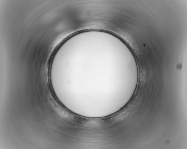 X0000091571078200709100951