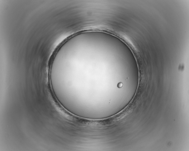 X0000091571079200709100951