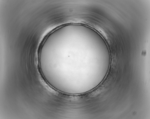 X0000091571080200709100951