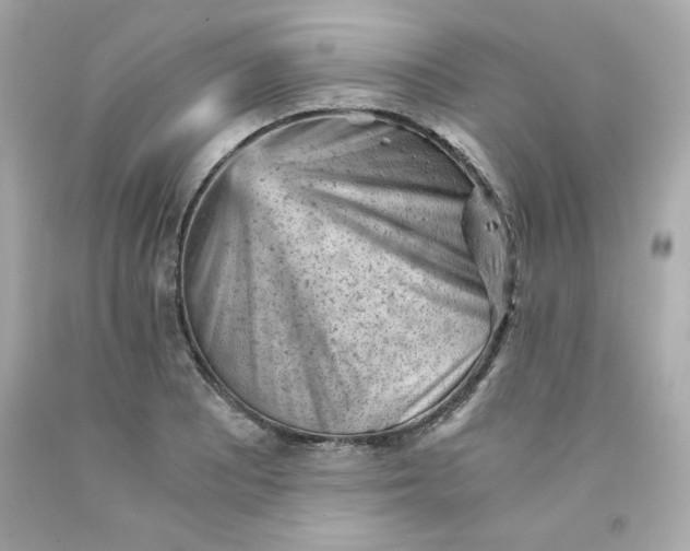 X0000091571081200709100951