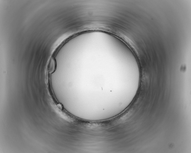 X0000091571082200709100951